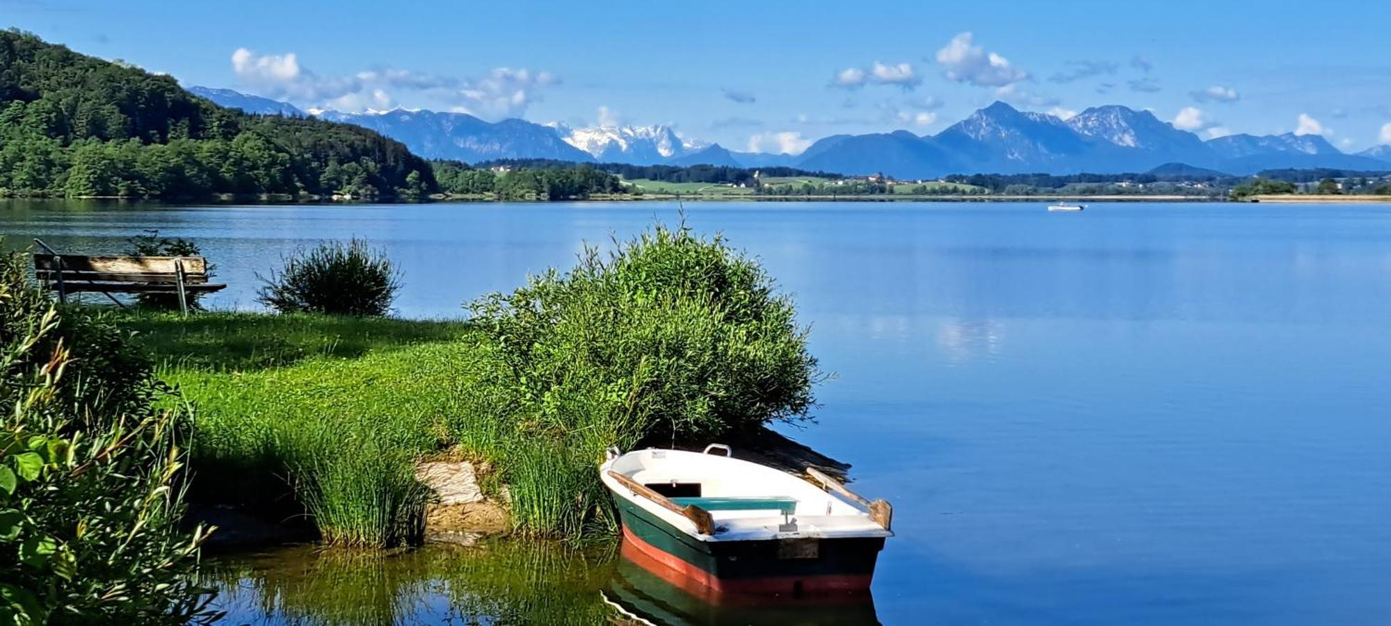 Ferienwohnung Wallersee Neumarkt am Wallersee Exterior foto